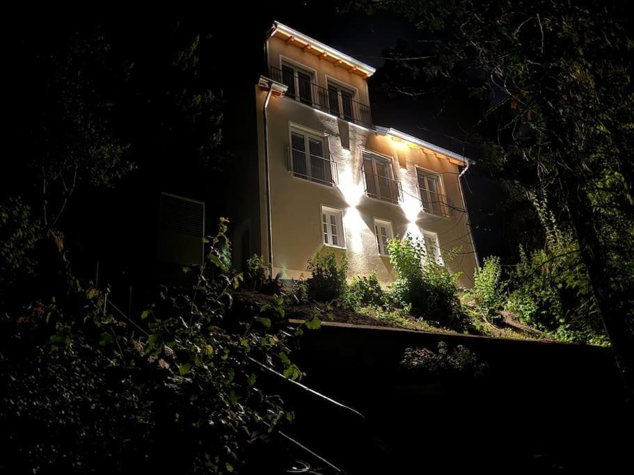 Zur Donauinsel Apartment Bad Abbach Luaran gambar