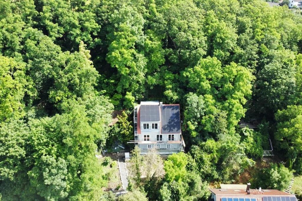 Zur Donauinsel Apartment Bad Abbach Luaran gambar